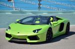 Lamborghini Aventador LP700-4 Roadster 2013 года